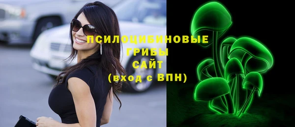 МДПВ Алзамай