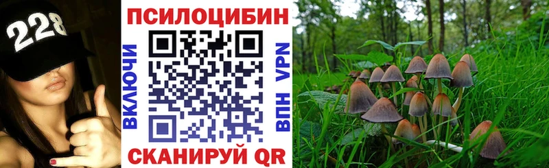 Галлюциногенные грибы MAGIC MUSHROOMS  Киселёвск 