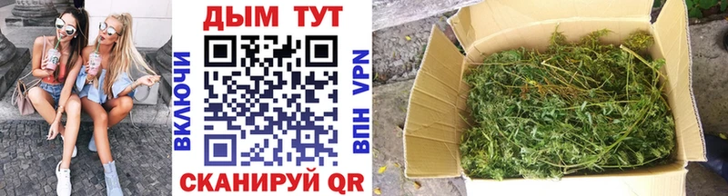 Канабис марихуана  наркотики  Киселёвск 